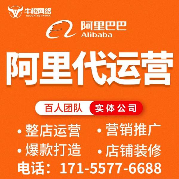 攀枝花电商代运营