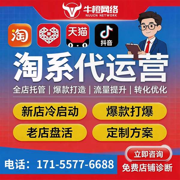 攀枝花电商代运营