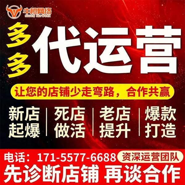 攀枝花电商代运营