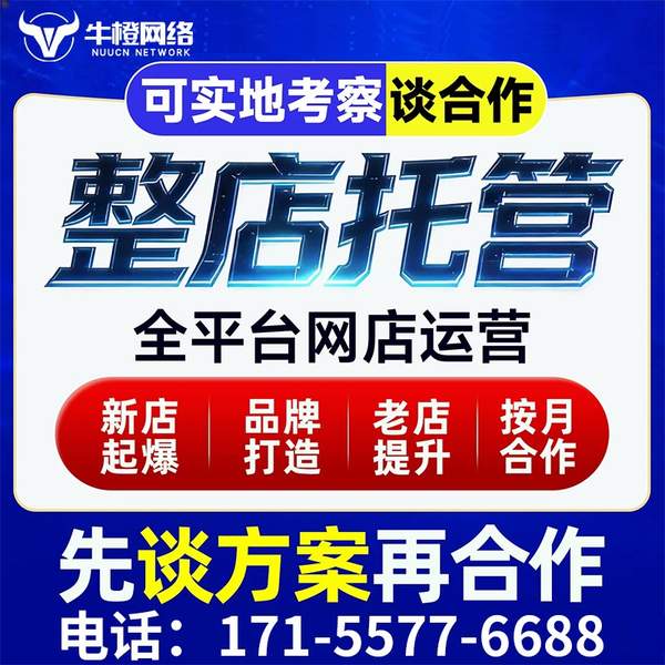 攀枝花电商代运营