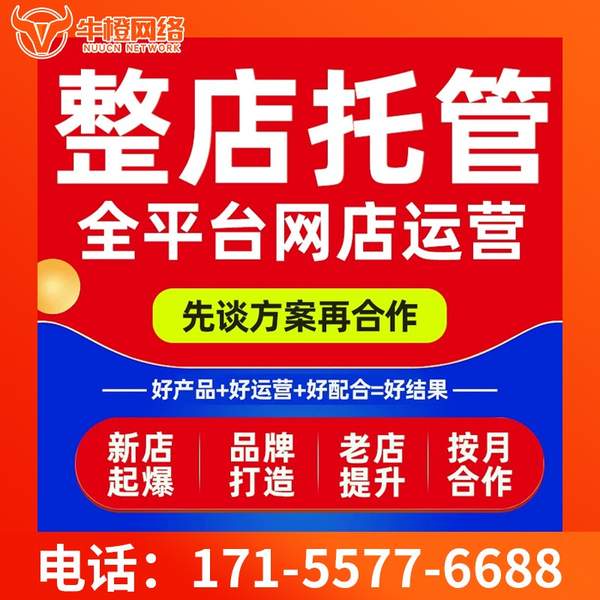 攀枝花电商代运营