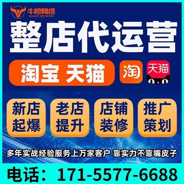 攀枝花电商代运营