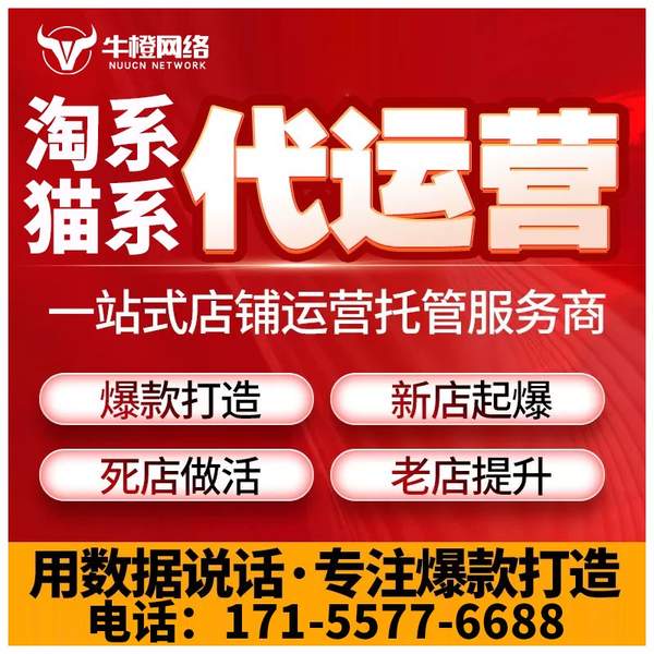 攀枝花电商代运营